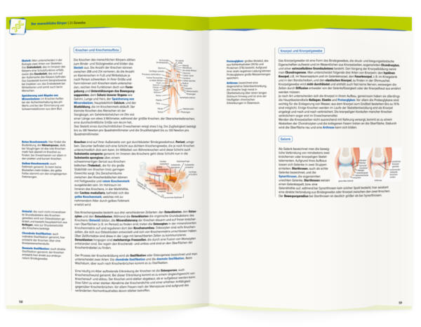 MedAT HERO – Bild 2