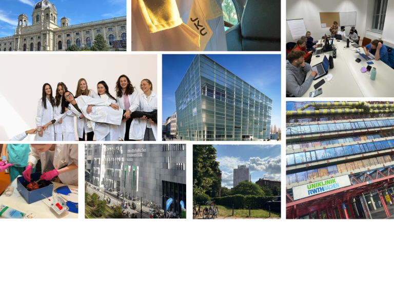 Medizinstudium in Österreich oder im Ausland: Deine Möglichkeiten