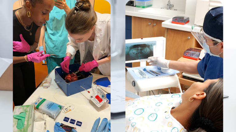 Humanmedizin oder Zahnmedizin studieren: Entscheidung und optimale MedAT-Vorbereitung (MedAT-H/MedAT-Z)