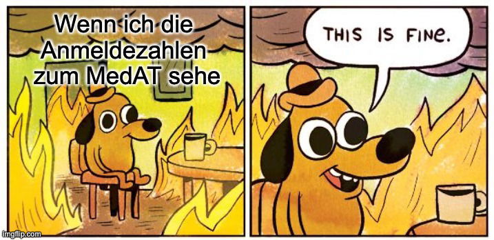 Meme, ein lustiges Bild, es zeigt einen Hund, der in einem Raum voll Flammen sitzt und über ihm steht "Wenn ich die Anmeldezahlen zum MedAT sehe", am nächsten Bild sagt er sarkastisch gemeint "This is fine".