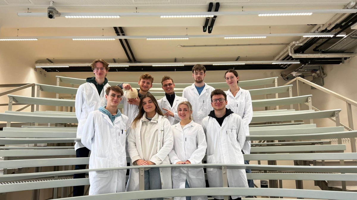 Medizinstudienplätze in Österreich: Entwicklung und Prognose in Humanmedizin & Zahnmedizin