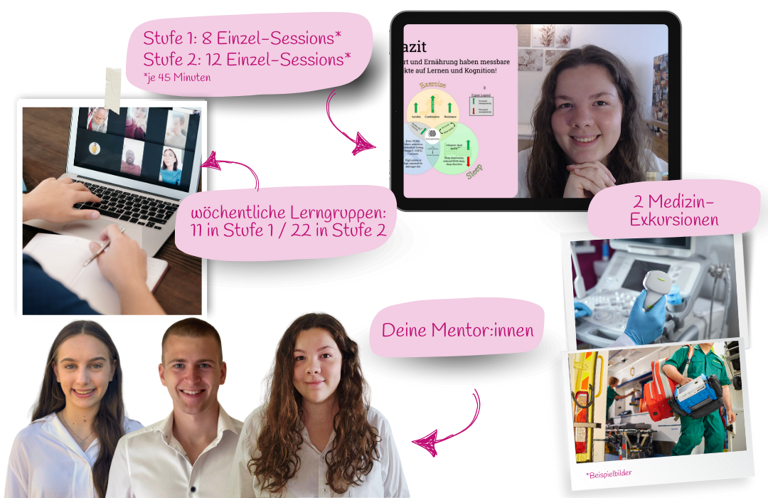 Übersicht zum Inhalt des Mentorings für die MedAT-Vorbereritung