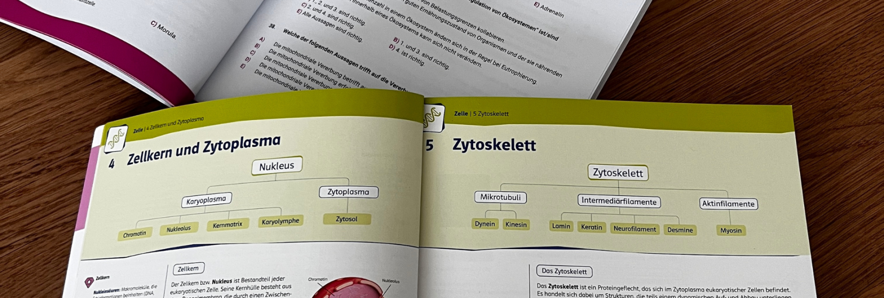 MedAT Stoff 2026: BMS-Stoff, KFF, TV/MF & SEK – der komplette Guide